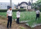 Karutan Temanggung Terjun Langsung Pantau Lahan Pertanian Rumah Dinas, Bawang Merah Siap Dipanen